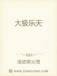 《大极乐天》小说封面