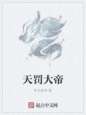 《天罚大帝》小说封面