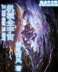 《机械全宇宙》小说封面