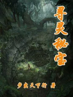 《寻灵秘宝》小说封面