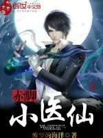 《赤脚小医仙》小说封面