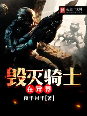 《毁灭骑士在异界》小说封面