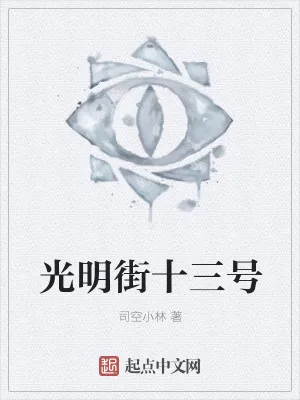 《光明街十三号》小说封面