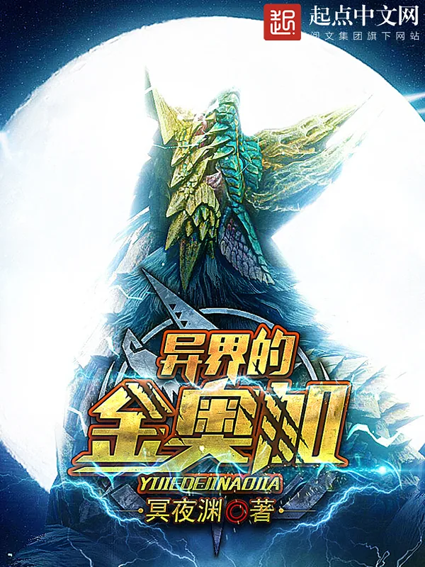《异界的金奥加》小说封面