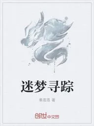 《迷梦寻踪》小说封面