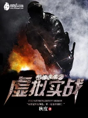 《绝地求生之虚拟实战》小说封面