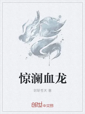 《惊澜血龙》小说封面