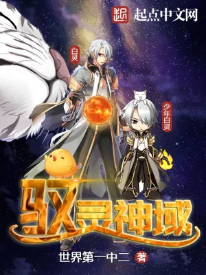 《驭灵神域》小说封面