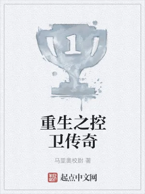 《重生之控卫传奇》小说封面