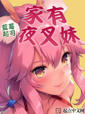 《家有夜叉妹》小说封面