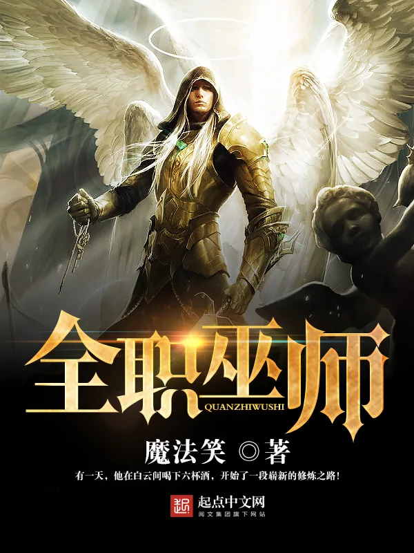 《全职巫师》小说封面
