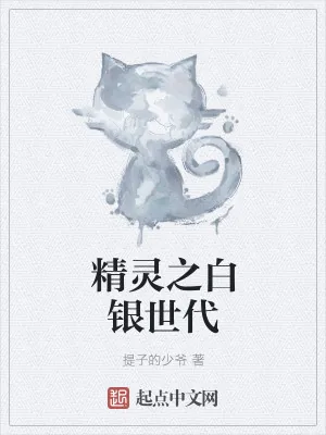 《精灵之白银世代》小说封面
