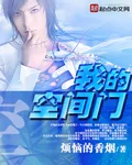 《我的空间门》小说封面