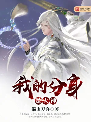 《我的分身是天神》小说封面