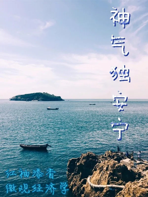 《神气独安宁》小说封面