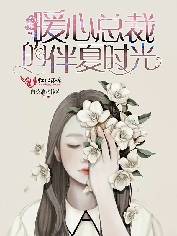 《暖心总裁的伴夏时光》小说封面