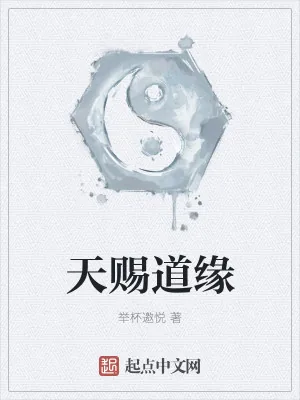 《天赐道缘》小说封面