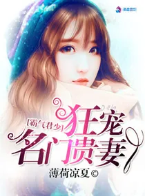 《霸气君少狂宠名门贵妻》小说封面