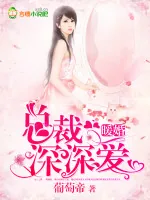 《暖婚：总裁深深爱》小说封面