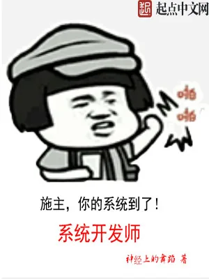 《系统开发师》小说封面