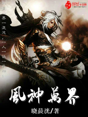 《风神万界》小说封面