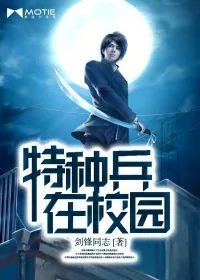 《特种狂兵》小说封面