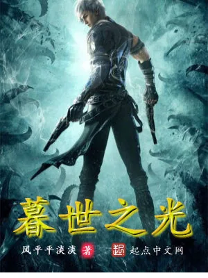 《暮世之光》小说封面