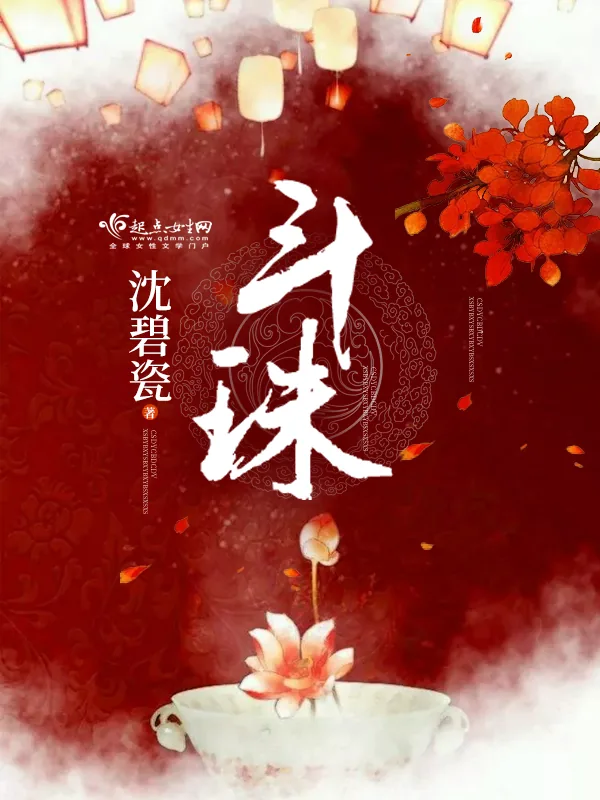 《斗珠》小说封面