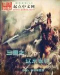 《三国之辽东铁骑》小说封面