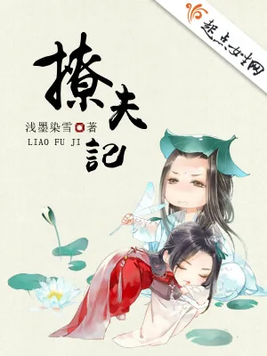 《撩夫记》小说封面