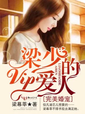 《完美婚宠：梁少的VIP爱人》小说封面
