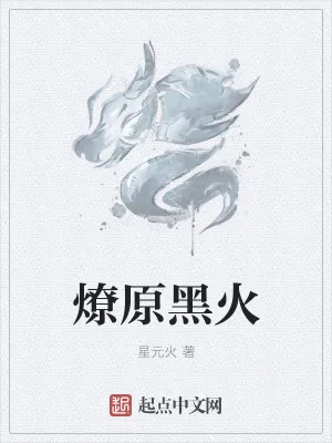 《燎原黑火》小说封面