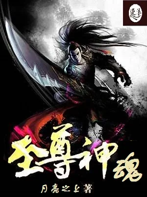 《至尊神魂》小说封面