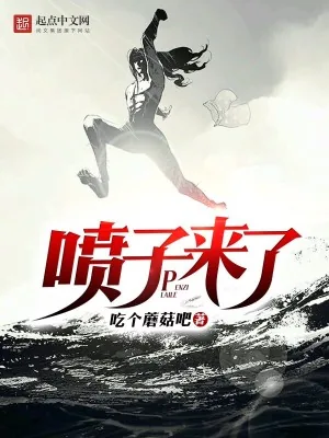 《喷子来了》小说封面