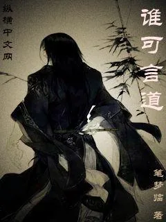 《谁可言道》小说封面