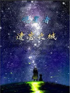 《观星者遗忘之城》小说封面