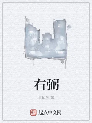 《右弼》小说封面