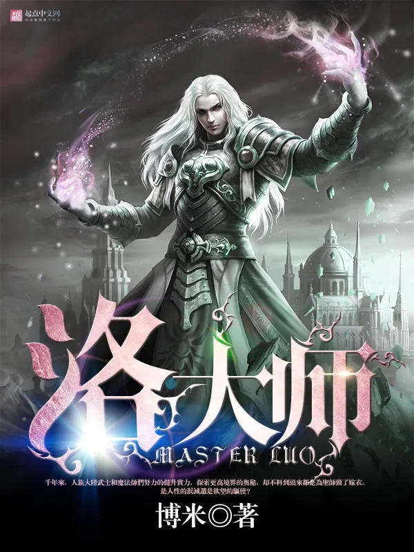 《洛大师》小说封面