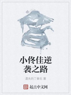 《小佟佳氏的华丽逆袭》小说封面