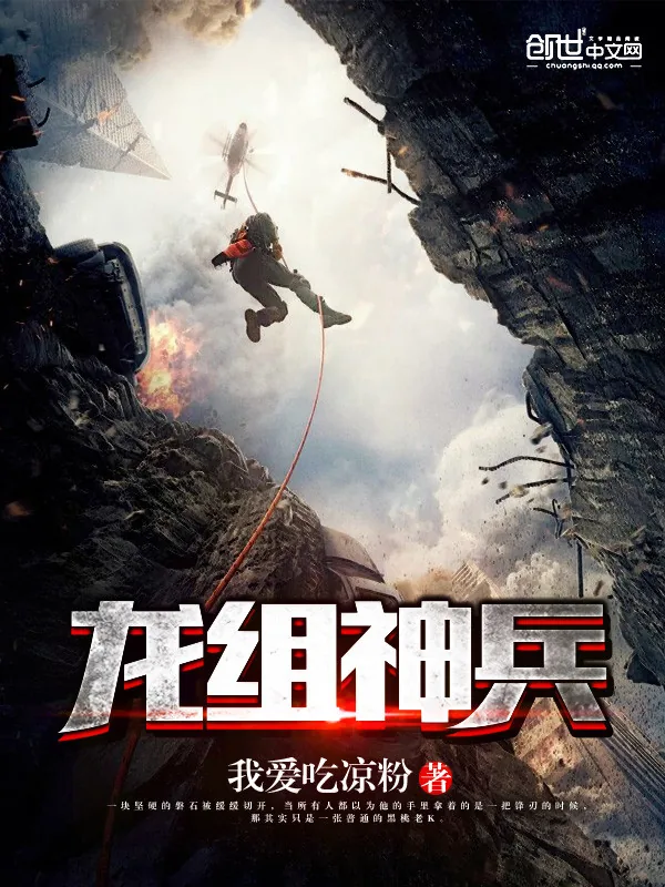 《龙组神兵》小说封面