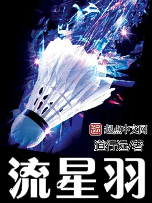 《流星羽》小说封面