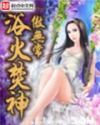 《浴火焚神》小说封面