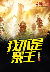 《我不是寨主》小说封面