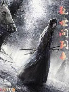 《乱世问剑录》小说封面