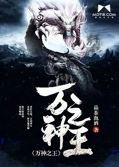 《万神之王》小说封面