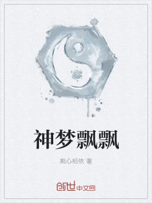《神梦飘飘》小说封面