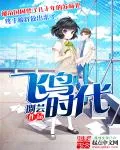 《飞鸟时代》小说封面
