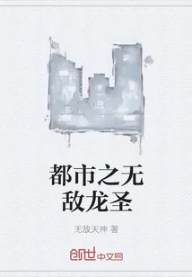 《都市之无敌龙圣》小说封面