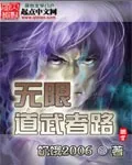 《无限道武者路》小说封面