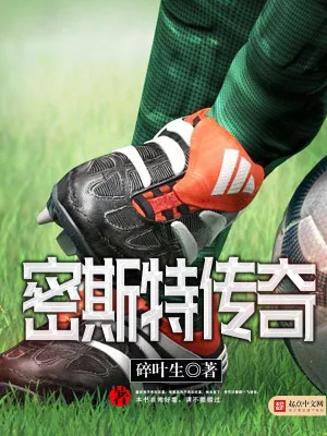 《密斯特传奇》小说封面